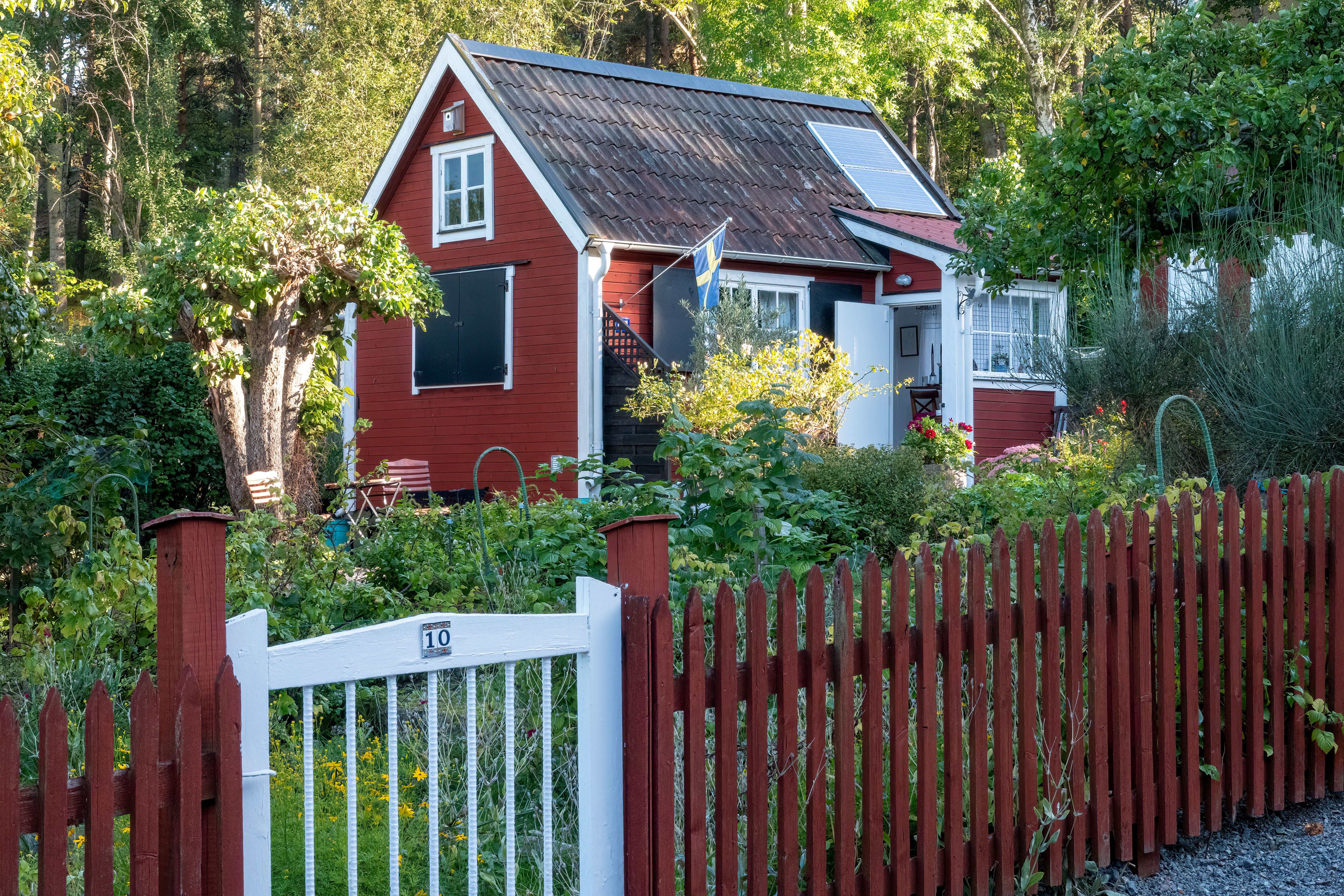 Rött hus med trädgård och staket en sommarkväll